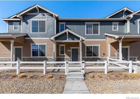 Penguin, JOHNSTOWN, CO 80534