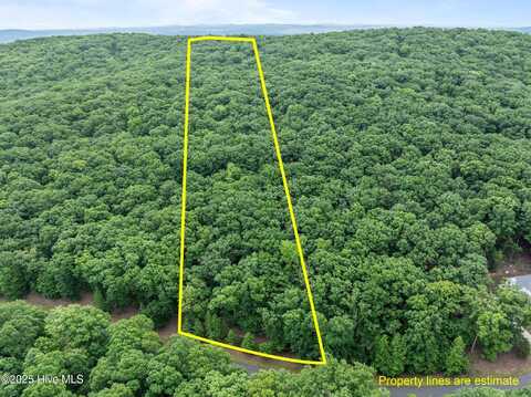445 Palisade Trail, Denton, NC 27239