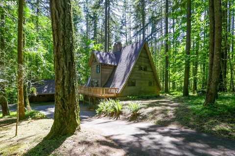 18020 SW NEUGEBAUER RD, Hillsboro, OR 97123