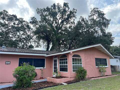 Ventura, DUNEDIN, FL 34698