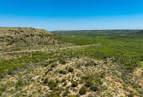 0 Other, Robert Lee, TX 76945