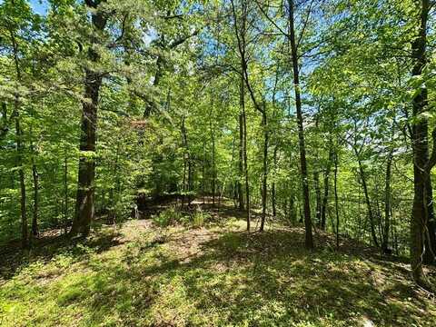 000 Laurel Ridge, Pikeville, KY 41501