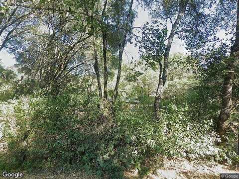 Rays, PHILO, CA 95466