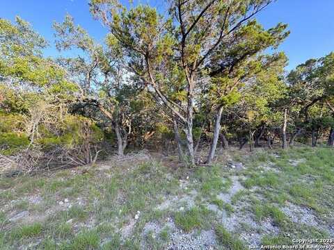 1177 Hallmark, Canyon Lake, TX 78133
