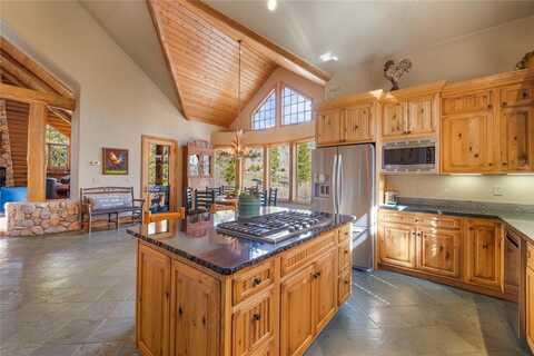 105 WINDFLOWER LANE, Frisco, CO 80443