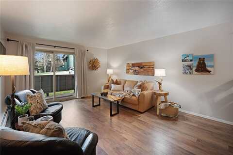 535 STRAIGHT CREEK DRIVE, Dillon, CO 80435