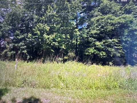TBD Joseph and Lemon Dingle Rd, Manning, SC 29102