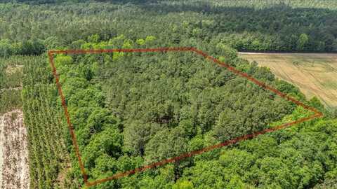 1301 BAY SHADOW DR, Manning, SC 29102
