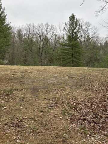 VL Pineview, Alger, MI 48610