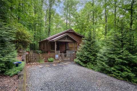 23 Holly Hollow Court, Cherry Log, GA 30522