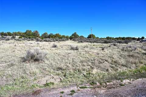00 CR 338 Plaza Blanca, Tierra Amarilla, NM 87575
