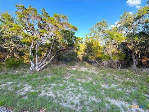 1191 Hallmark, Canyon Lake, TX 78133