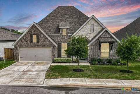 14206 Swift Breeze Drive, San Antonio, TX 78254