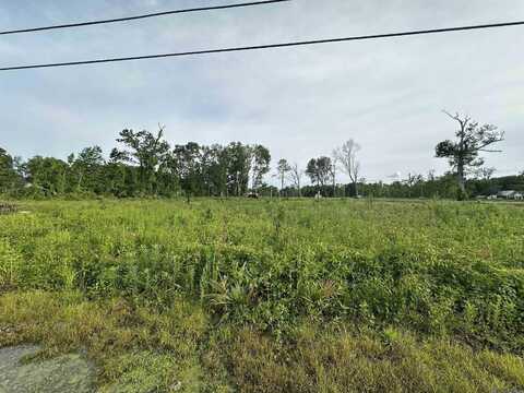 42455 Church Point Rd, Gonzales, LA 70737