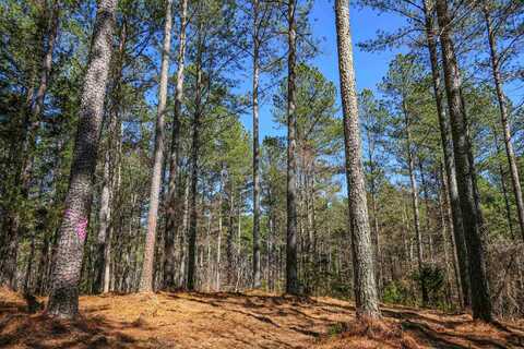 0 Asbury Road, Pacolet, SC 29372