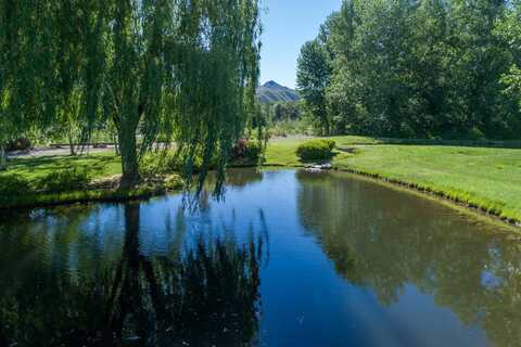 100 & 200 Trout Lane, Bellevue, ID 83313