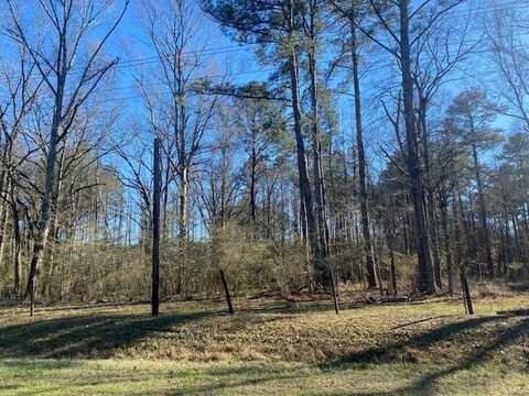 TBD Bogue Chitto Road SW, Bogue Chitto, MS 39629