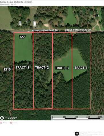 TBD Bogue Chitto Road SW, Bogue Chitto, MS 39629