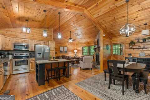 23 Holly Hollow, Cherry Log, GA 30522