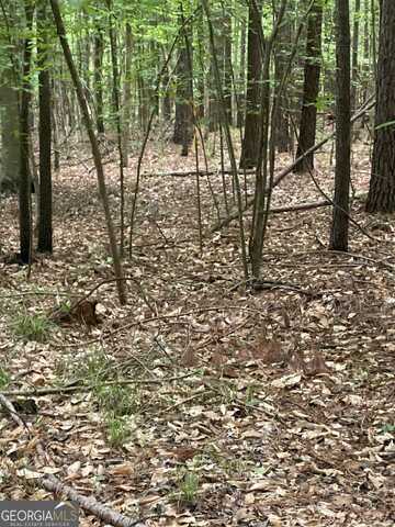 0 Cedar Grove, Buckhead, GA 30625