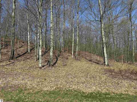0000 W Timber View Trail, Empire, MI 49630