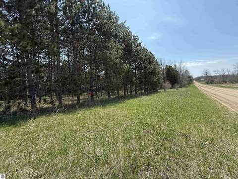 00 Hodge Road, Fife Lake, MI 49633