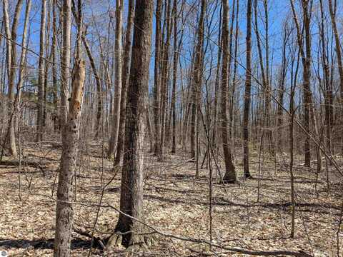 Off Stark Road, Mancelona, MI 49659