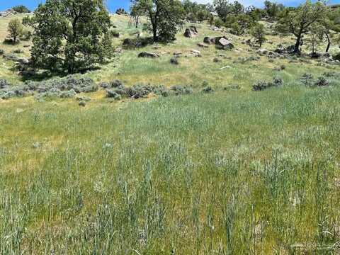 0 0 Big Sky, Tehachapi, CA 93561