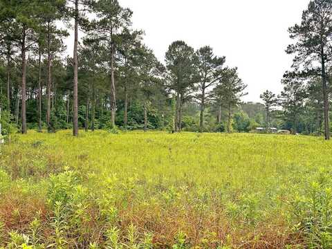 0 Johnson Road, Cairo, GA 39828