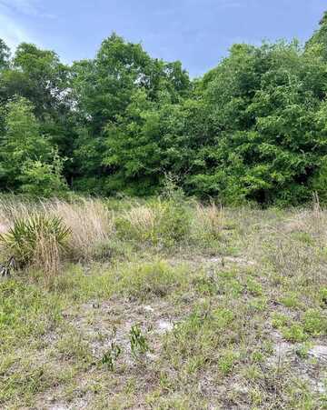 2523 Palmetto Terrace, Lanark Village, FL 32323