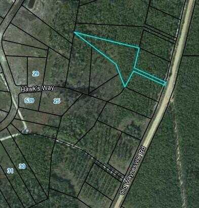 Lot 16 Old Waynesville Road, Waynesville, GA 31566