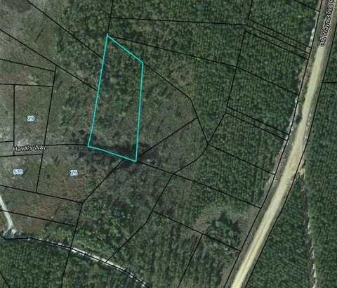 Lot 21 Hawks Way, Waynesville, GA 31566
