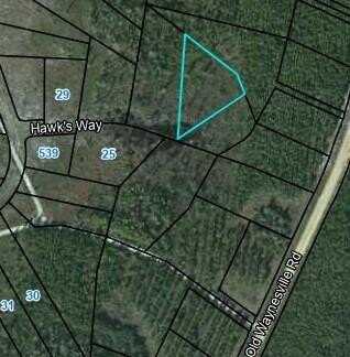 Lot 22 Hawks Way, Waynesville, GA 31566