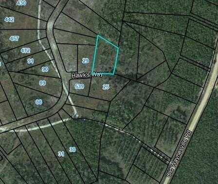 Lot 20 Hawks Way, Waynesville, GA 31566