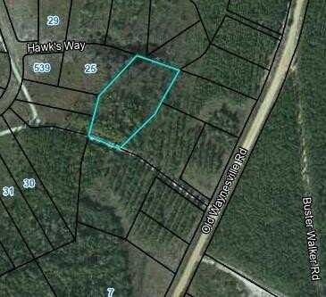 Lot 24 Hawks Way, Waynesville, GA 31566