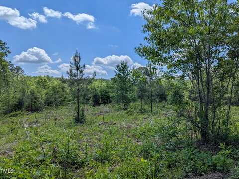 0 Cypress Creek Drive, Louisburg, NC 27549