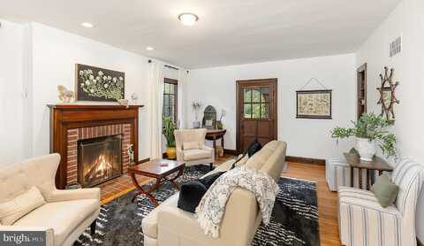 515 MOUNT SALEM AVENUE, WASHINGTON, VA 22747
