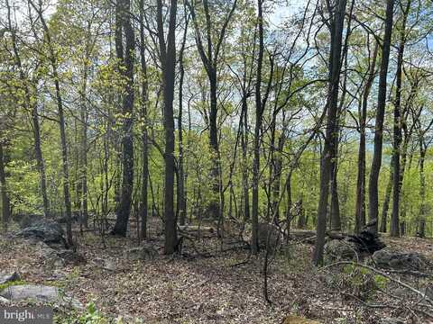 undefined, CHESTER GAP, VA 22623