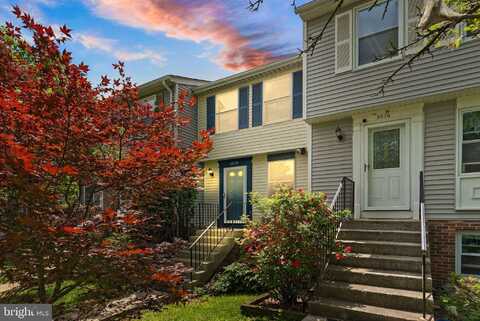 5878 CLARENDON SPRINGS PLACE, CENTREVILLE, VA 20121