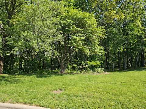 Lot 5 Fox Haven Drive, Mount Vernon, MO 65712
