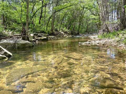 000 Tbd E State Hwy 76, Bradleyville, MO 65614