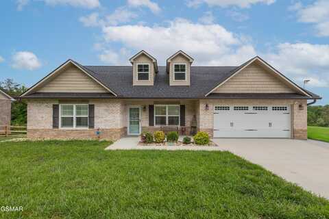 4836 Douglas Dam Rd, Strawberry Plains, TN 37871