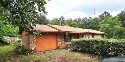 446 W CR 146, Overton, TX 75684