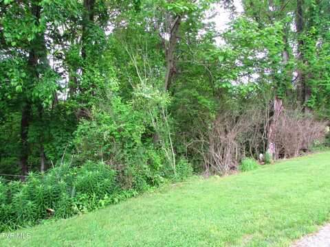 Tbd Redwood Drive, Elizabethton, TN 37643