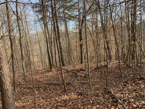 Whistle Valley Road lot: 161, New Tazewell, TN 37825