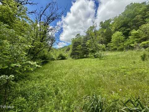 47/Ac Tbd Enoch Rd, Eidson, TN 37731