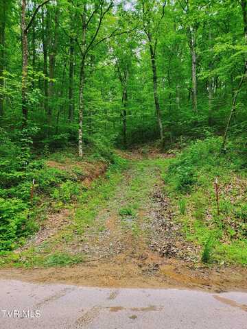 2065 Dyer Hollow Road, Mohawk, TN 37810