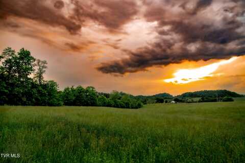 2200 Old Hall Parcel'S 3 & 4 Road, Limestone, TN 37681