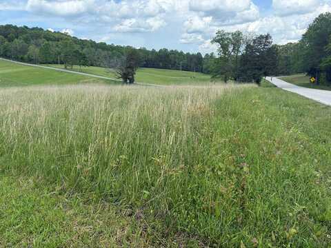 135 Rosa Cox Rd, SPARTA, TN 38583