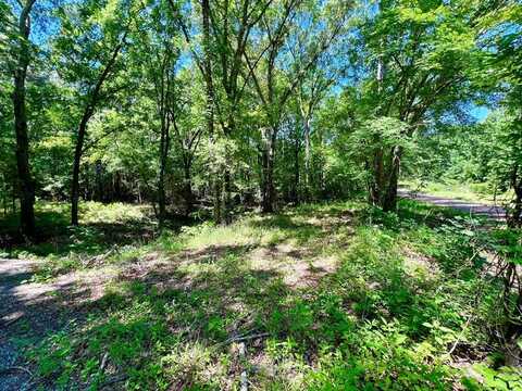 Lot 373 CR 3907, Athens, TX 75752